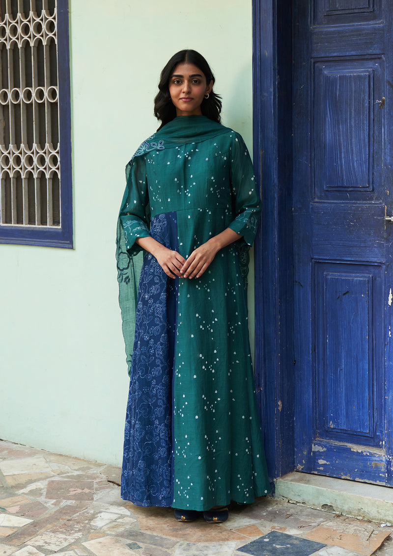 Emerald Printed Anarkali