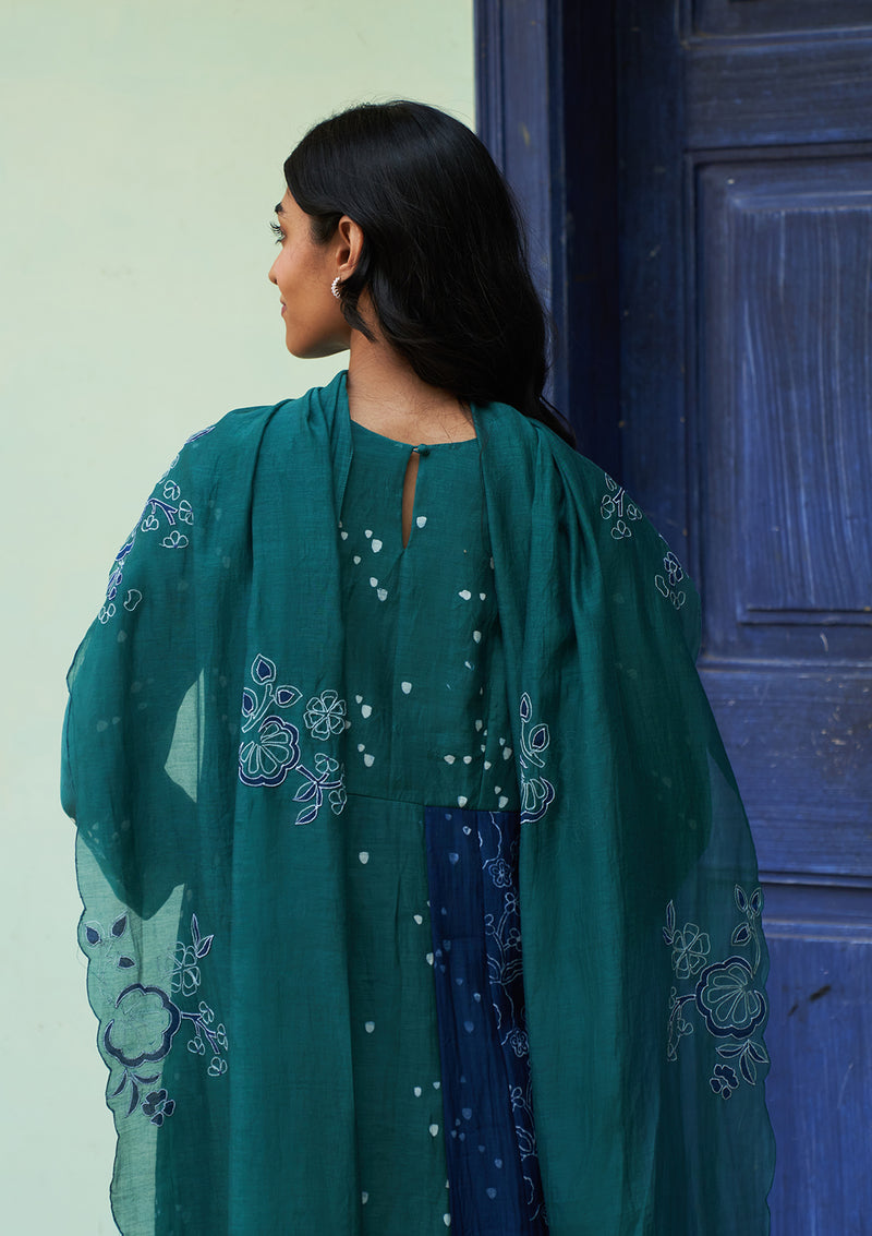 Emerald Printed Anarkali