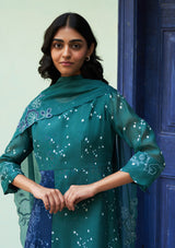 Emerald Printed Anarkali