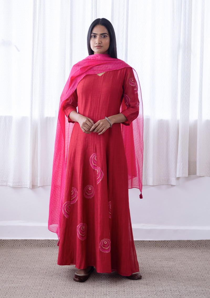 CAMELLIA APPLIQUE ANARKALI SET