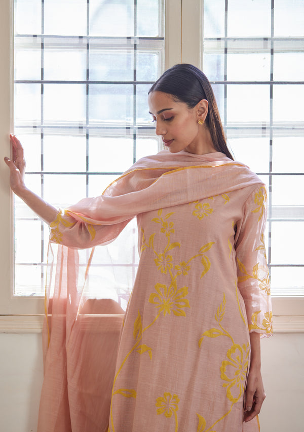 Blush & Rue Applique Kurta Set