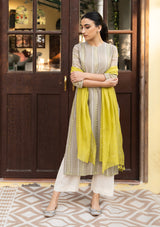 Ash and Lime Embroidered Kurta Set