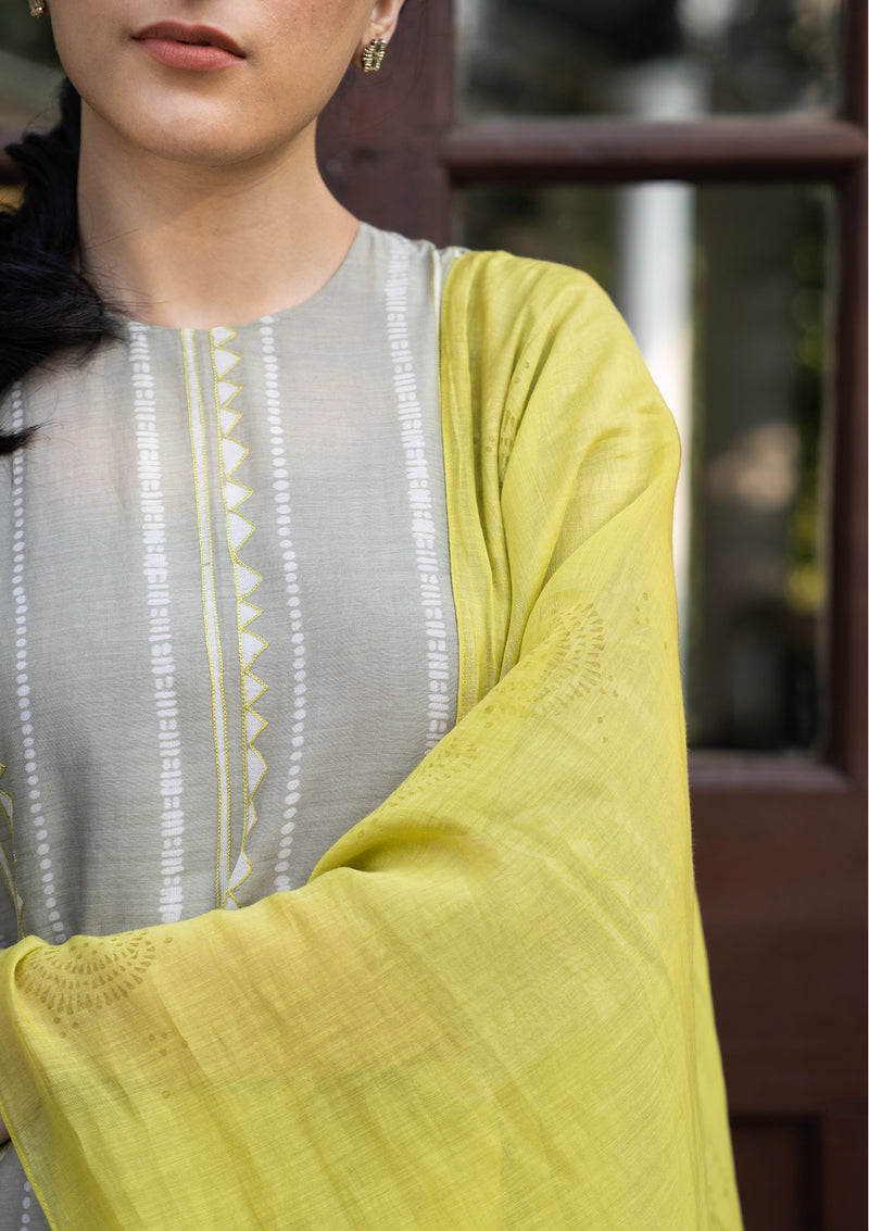 Ash and Lime Embroidered Kurta Set