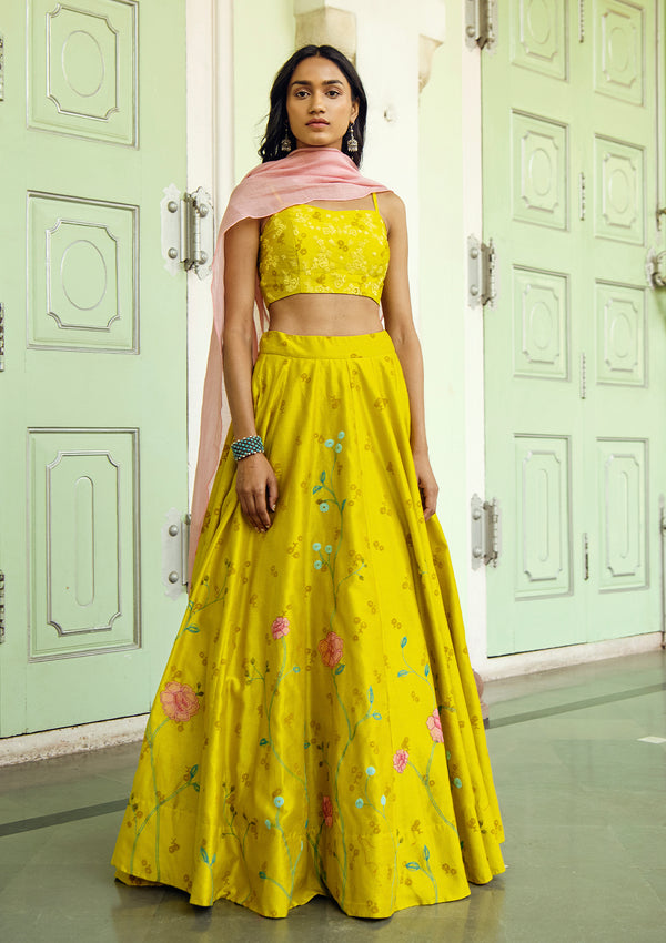 Daffodil Applique Lehenga Set