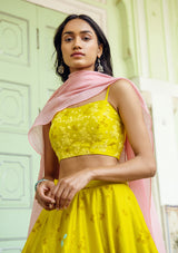 Daffodil Applique Lehenga Set