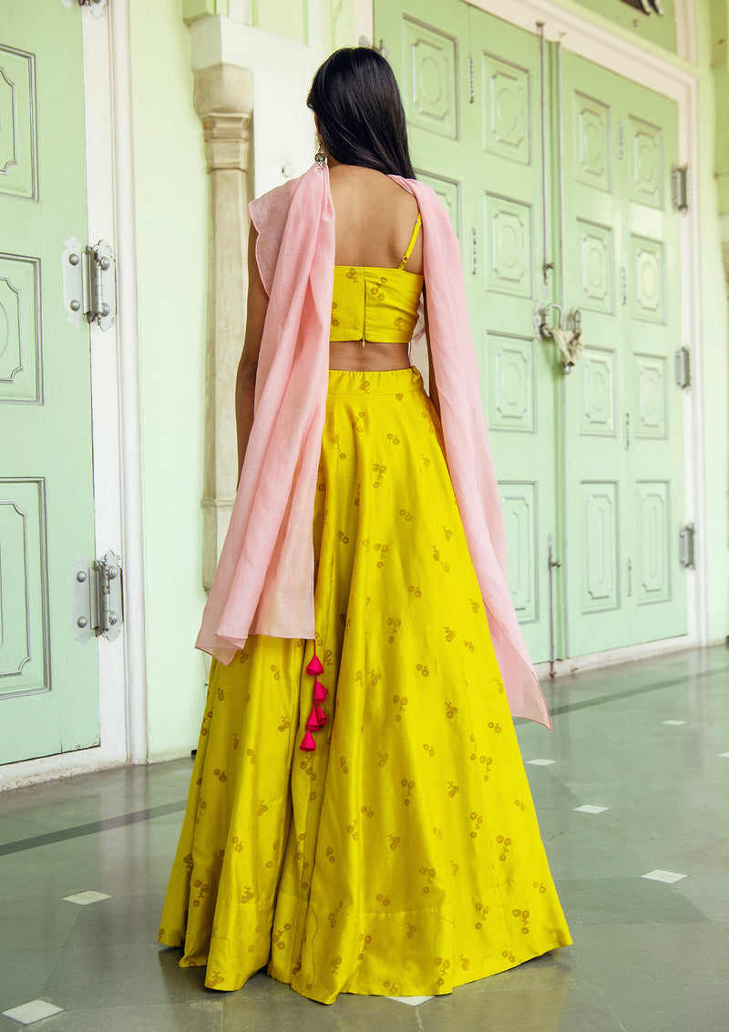 Daffodil Applique Lehenga Set